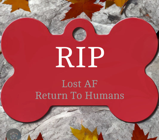 Lost AF Return To Humans